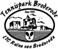 logo ruine van brederode